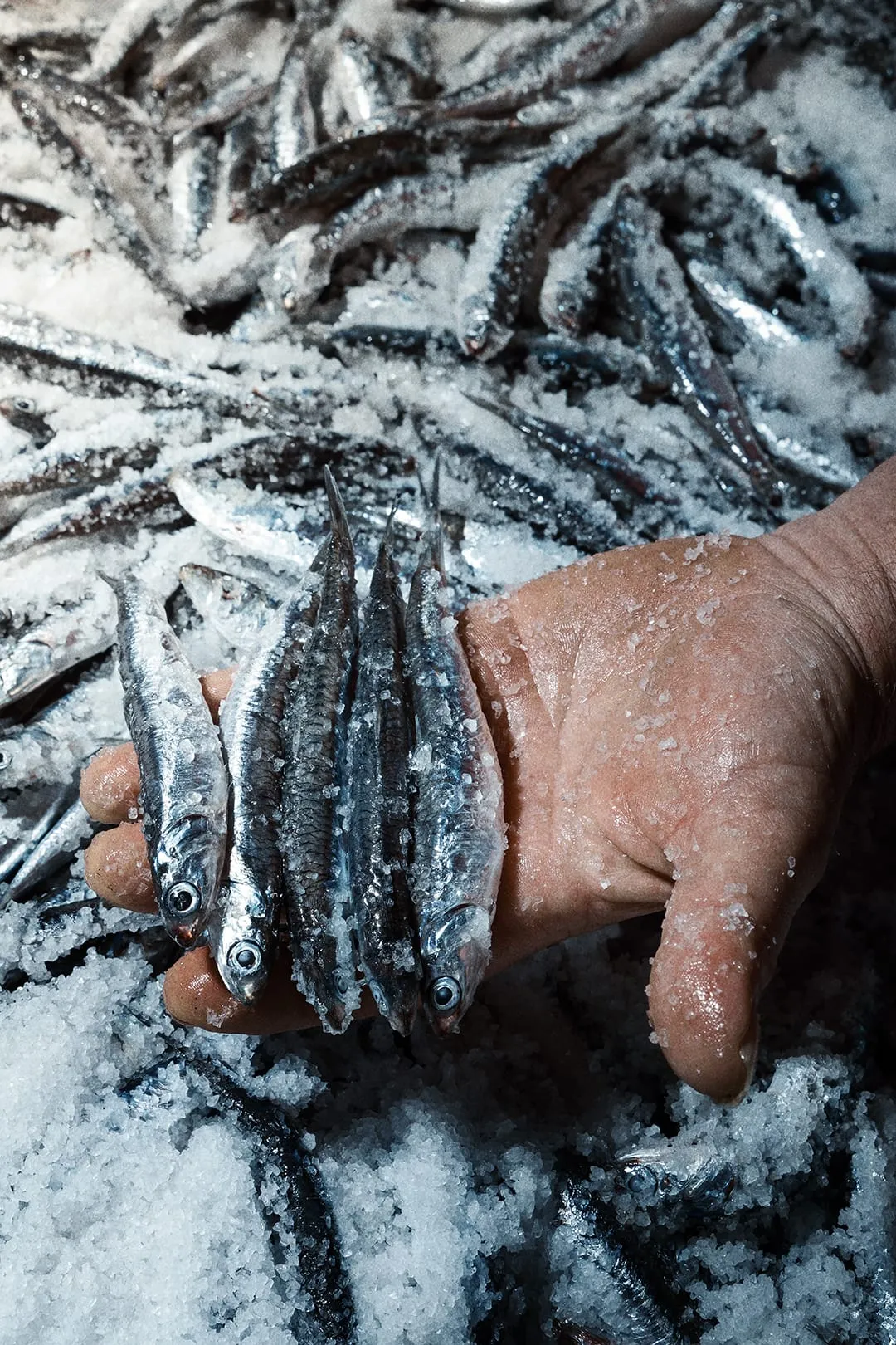 아말피 해안 체타라